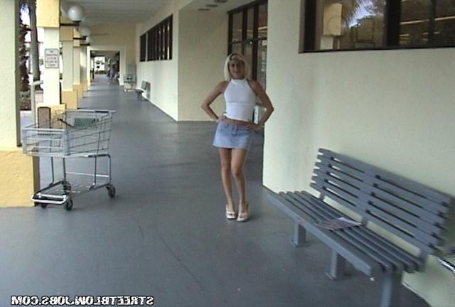 Guy fucked blonde in a short skirt from the street 1 photo